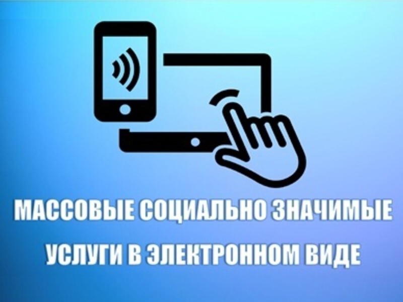 О популяризации массовых социально-значимых услуг в электронном виде.