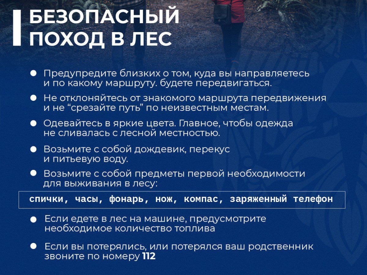Безопасный поход в лес.